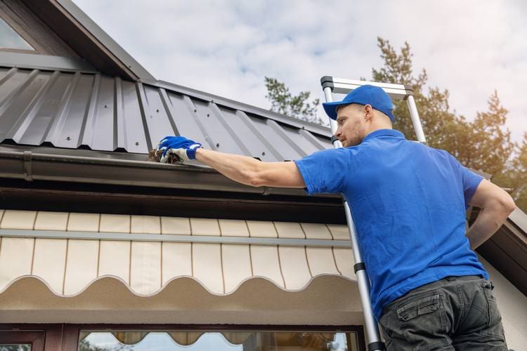 Gutters Cleaning